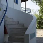Dream 比特兹