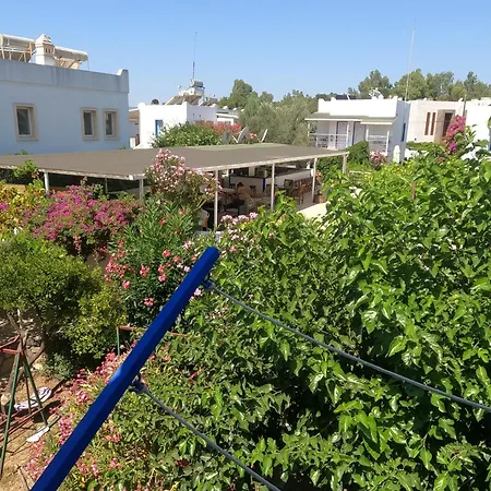 Dream Ξενοδοχείο με διαμερίσματα Bitez